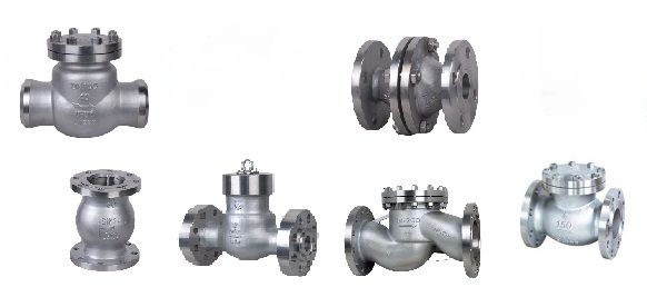 Duplex Steel Flanged Check Valves