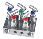 Duplex Stainless Steel Remote Mount with Vertical Bonnets Five way valve Manifolds